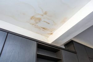 Water Damage Claims in Tampa