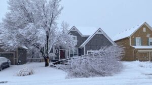 insurance claims after winter storms