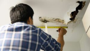 Blog 11 category 3 water damage insurance
