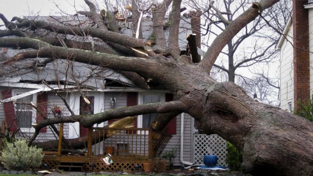 Understanding the Property Damage Claims Process 4 Understanding the Property Damage Claims Process