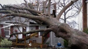Blog 10 Understanding the Property Damage Claims Process