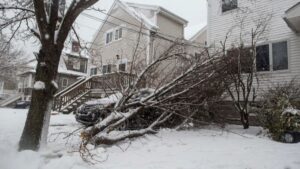 How to Document Winter Storm Damage for a Strong Claim