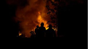 Blog 7 Public Adjusters and Wildfire Damage Claims