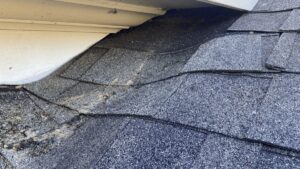 Roof Leaks After a Snowstorm: What to Know About Insurance Coverage