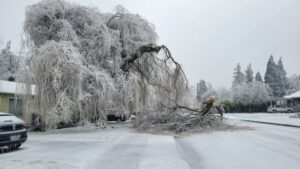 What to Do Immediately After Your Property Suffers Winter Damage