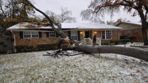 Why Winter Damage Claims Are Often Underpaid or Denied