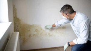 Common Mistakes in Filing a Water Damage Insurance Claim