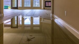 Insurance Claim Tips After Basement Flooding