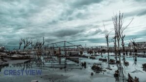 Blog 16 Resources for Disaster Recovery