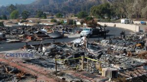 Blog 14 types-of-property-damage