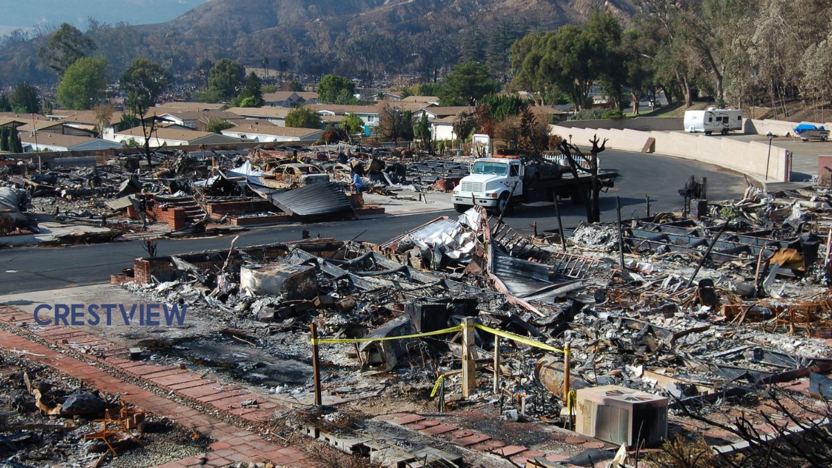 Understanding Different Types Of Property Damage: Fire, Water, Mold ...
