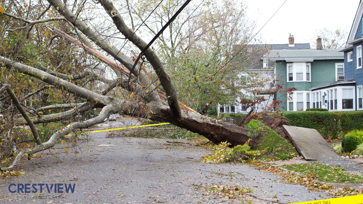 storm-damaged-tree-across-road-with-power-lines