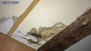 water-damage-ceiling-leak-stains-and-mold-growth