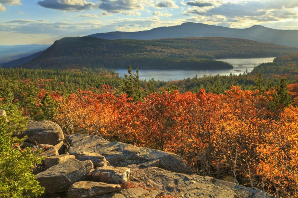 7d45d16ae928550963c5afc0ea043405 catskills 1