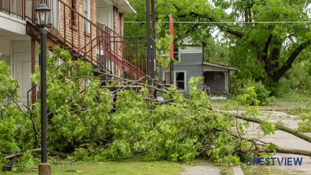 Hurricane And Tropical Storm Insurance Claims: Wind Vs Flood For Florida And New York Property Owners 1 storm-damaged-tree-down-near-residential-home