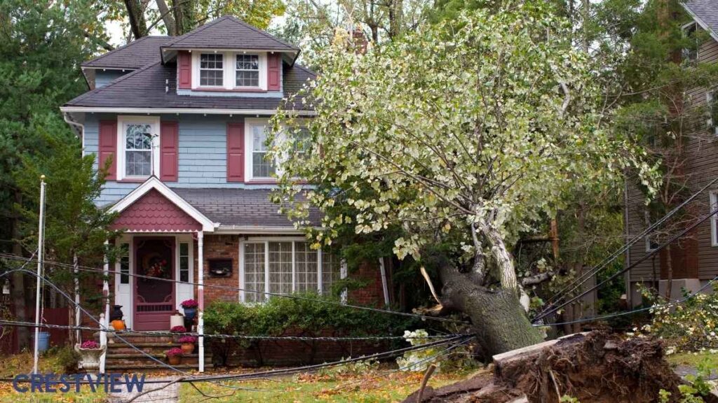 Storm Damage Insurance Claim In Pennsylvania: How To Document Wind, Hail, And Roof Damage This Spring 1 Fallen tree and downed power lines in front of a residential home after a wind storm