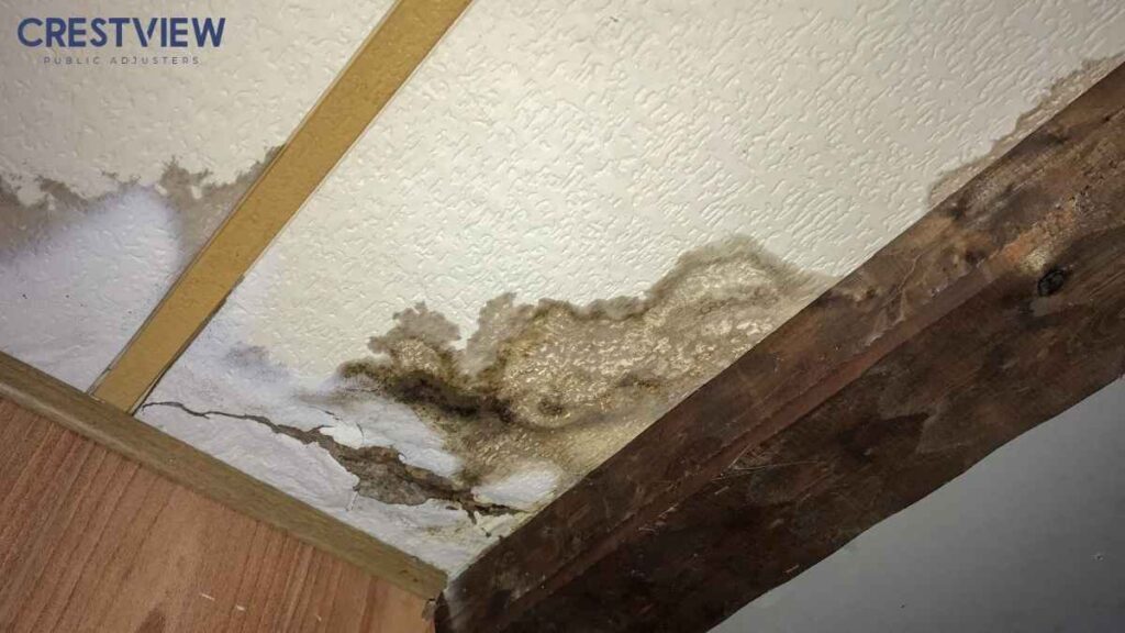 Water Damage Insurance Claim In New York: 5 Common Mistakes That Lead To Denials 1 Water stained ceiling with mold growth, cracked drywall, and exposed damaged wood framing